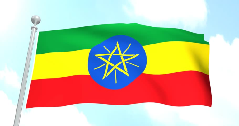 Addis Software a company based in Ethiopia